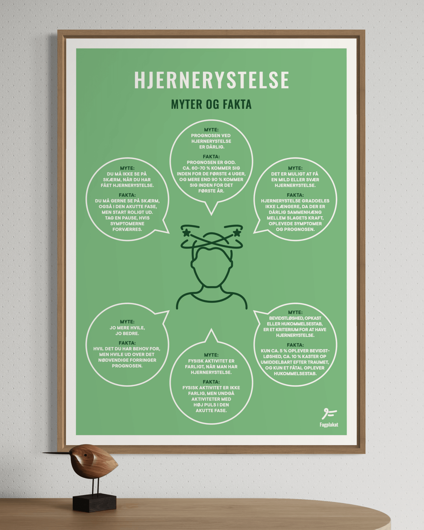 Fagplakat | Hjernerystelse - Myter og Fakta