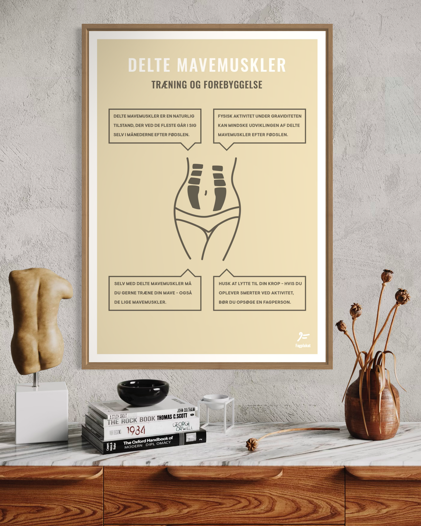 Fagplakat | Delte Mavemuskler